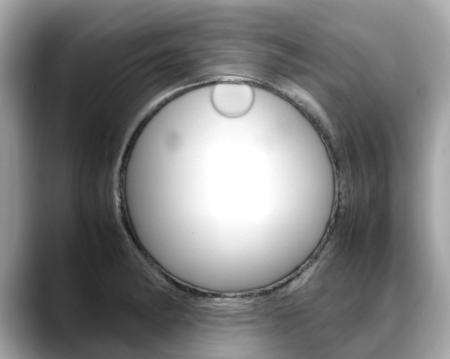 X0000088721182200705311051