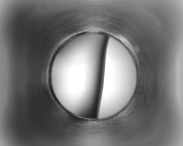 X0000088721183200705311051