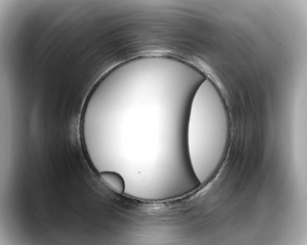 X0000088721186200705311051