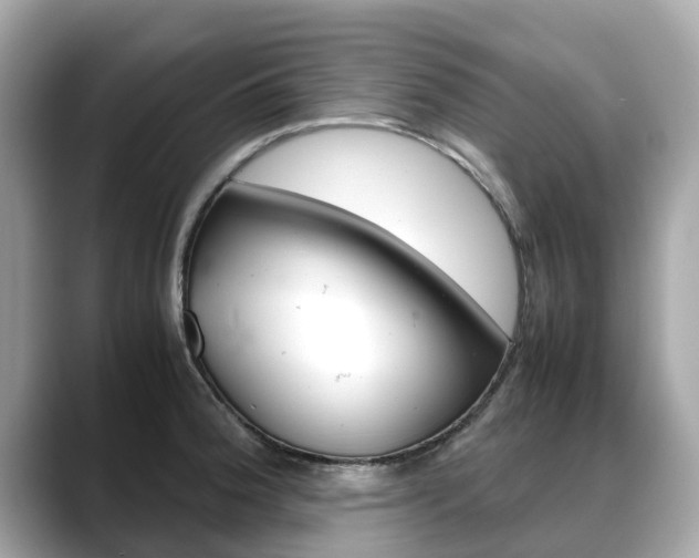 X0000088721188200705311051