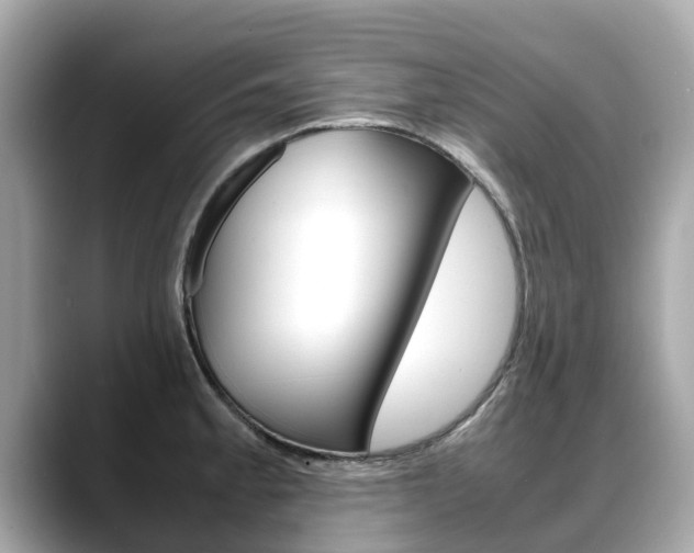 X0000088721189200705311051