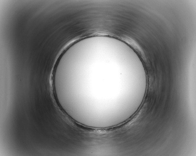 X0000088721190200705311051