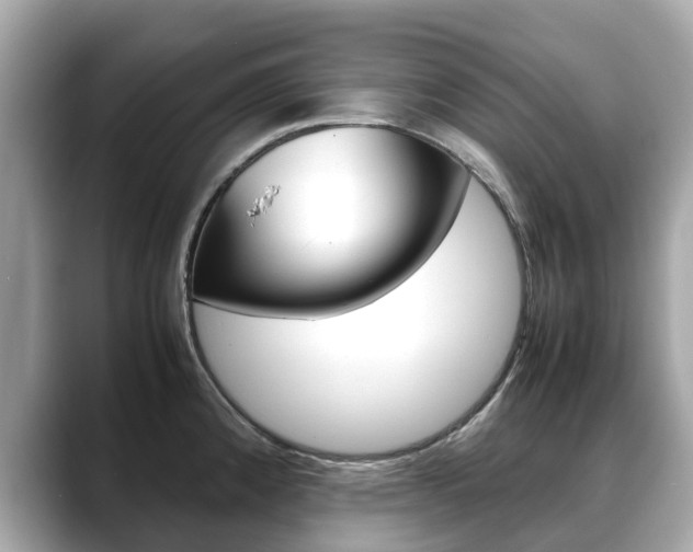 X0000088721192200705311051