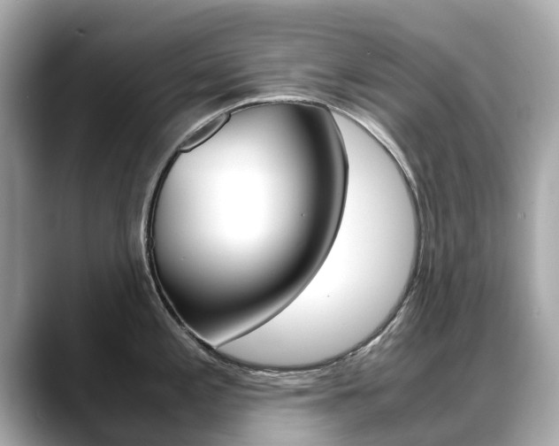 X0000088721197200705311051
