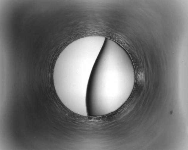 X0000088721204200705311050