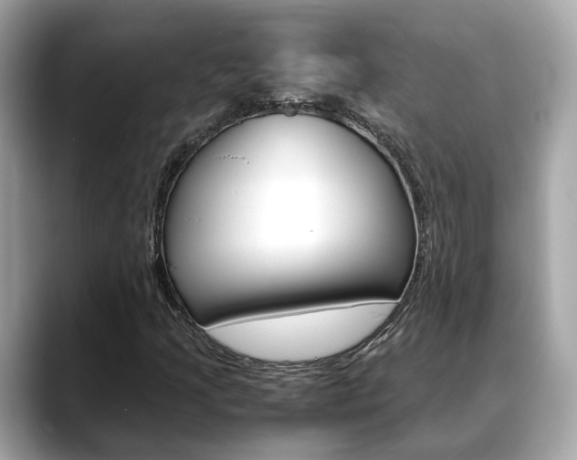 X0000088721205200705311050