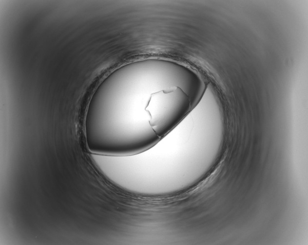 X0000088721210200705311050