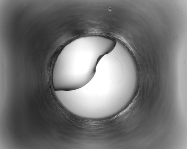 X0000088721211200705311050