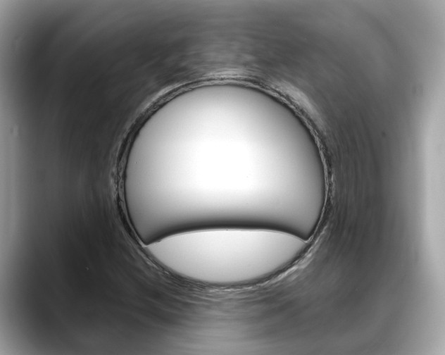 X0000088721212200705311050