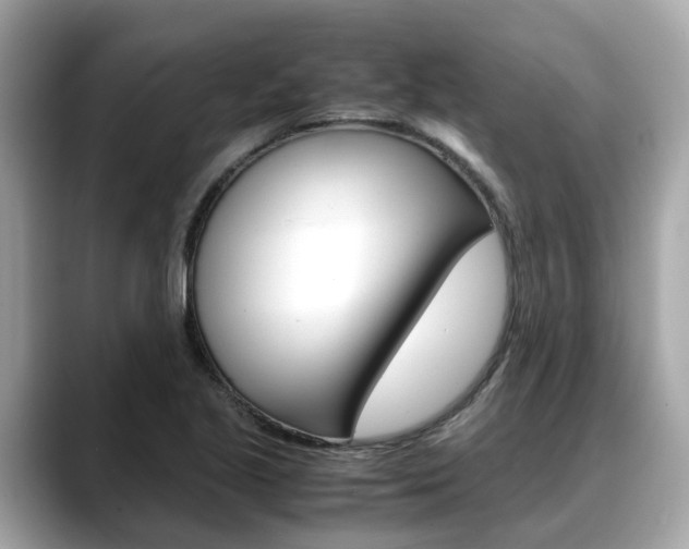 X0000088721221200705311051