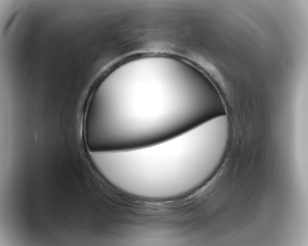 X0000088721224200705311051
