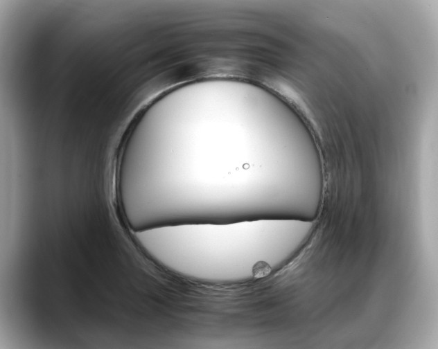 X0000088721227200705311051