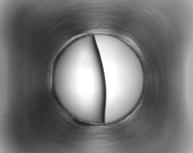 X0000088721228200705311051