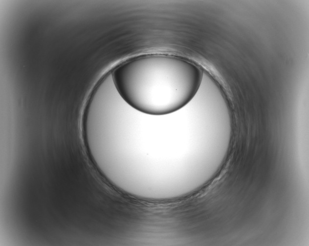 X0000088721230200705311051