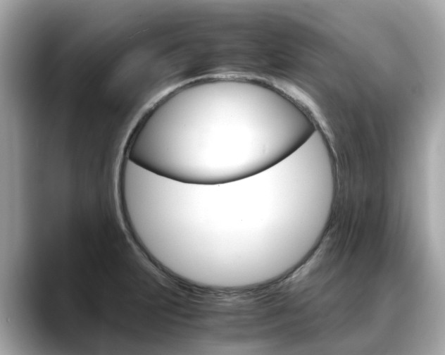 X0000088721231200705311051