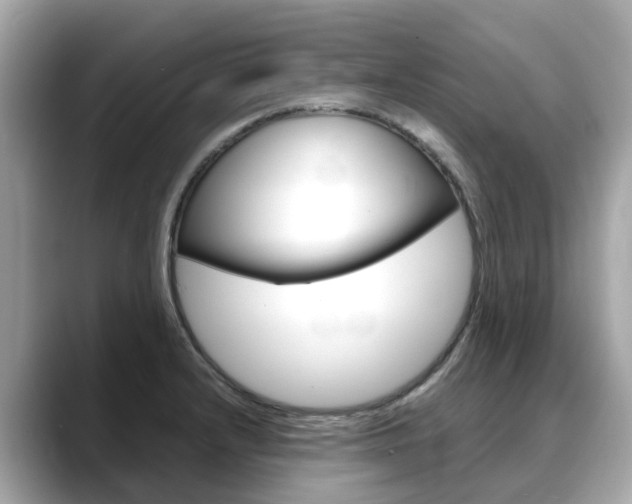 X0000088721232200705311051