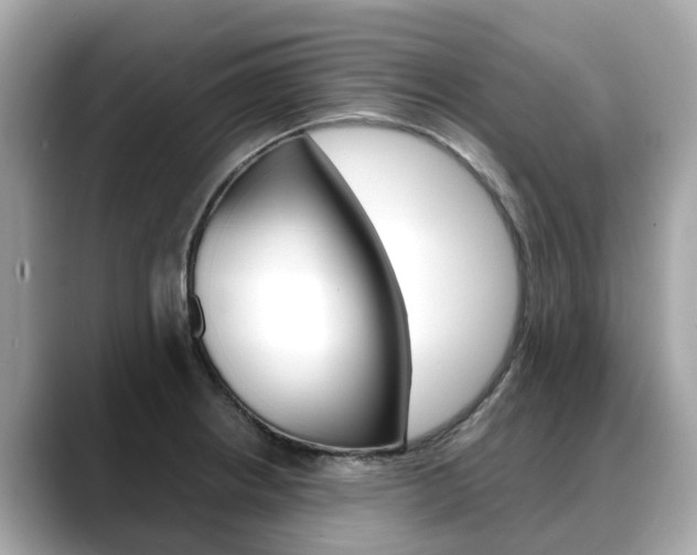 X0000088721234200705311051