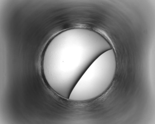 X0000088721235200705311051