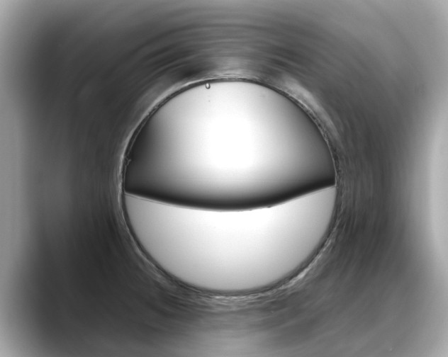 X0000088721236200705311051