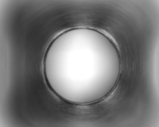 X0000088721239200705311051