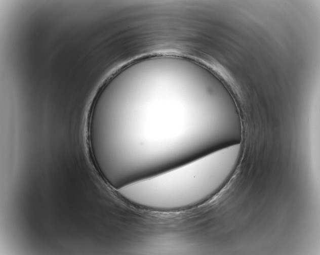 X0000088721240200705311051