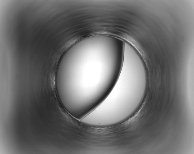 X0000088721241200705311051