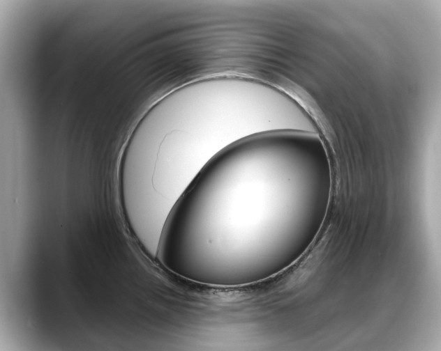X0000088721242200705311051
