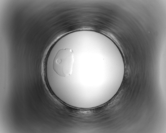 X0000088721243200705311051