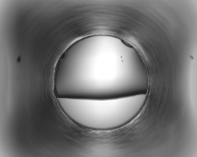 X0000088721244200705311051