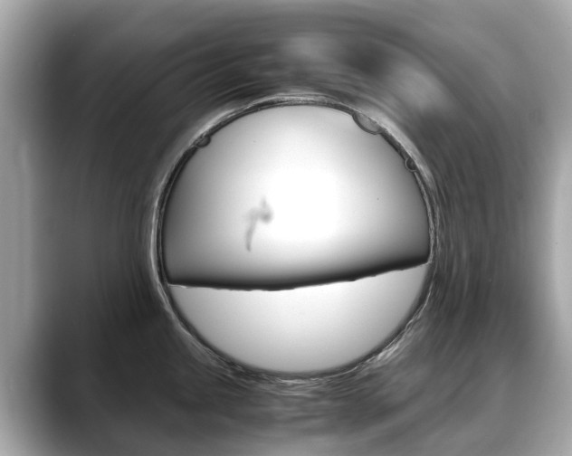 X0000088721245200705311051