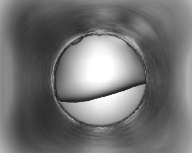 X0000088721247200705311051