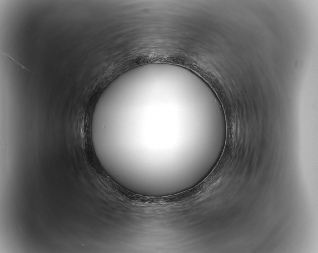X0000088721250200705311050