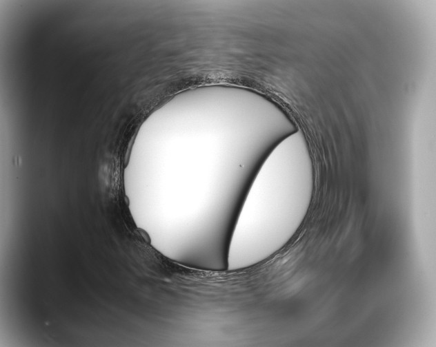 X0000088721251200705311050