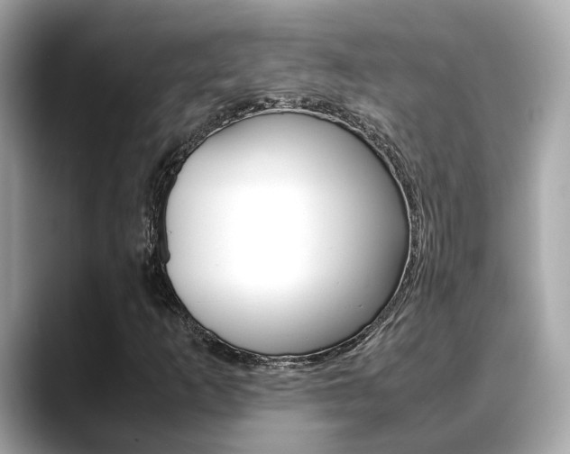 X0000088721253200705311050