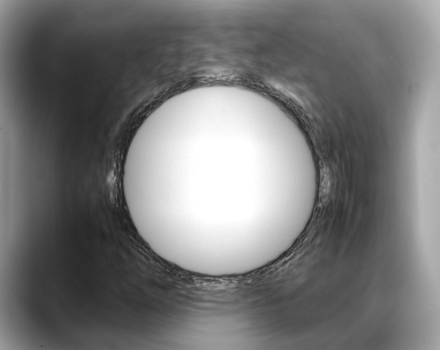 X0000088721254200705311050