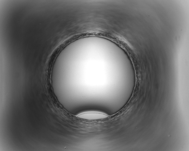 X0000088721256200705311050