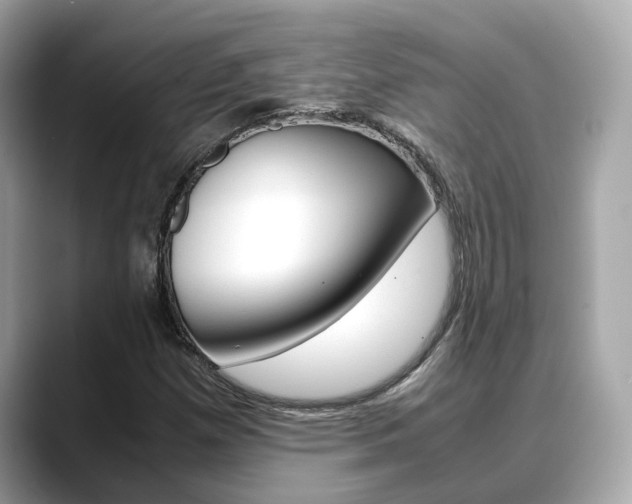X0000088721257200705311050