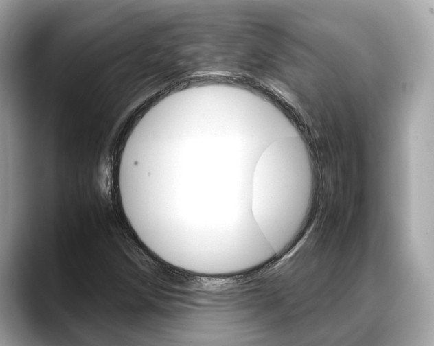 X0000088721258200705311050