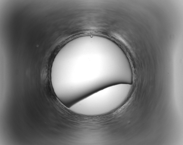 X0000088721259200705311050