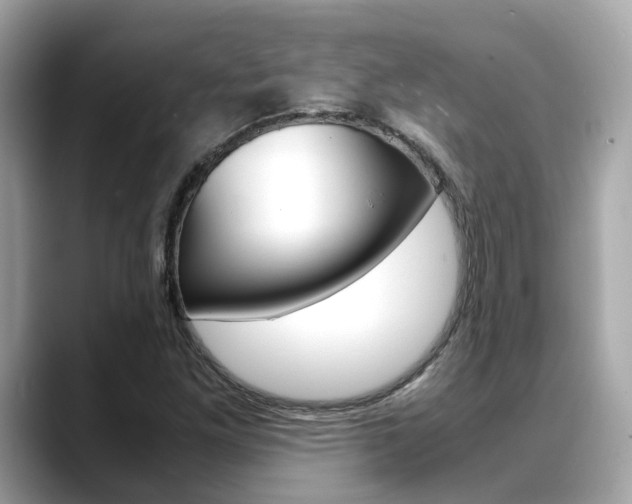 X0000088721261200705311050