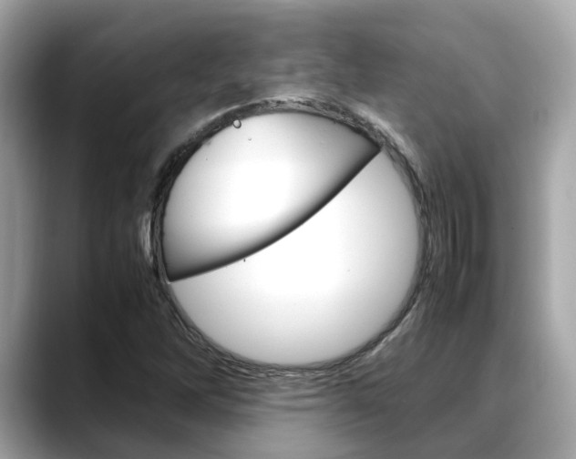 X0000088721262200705311050