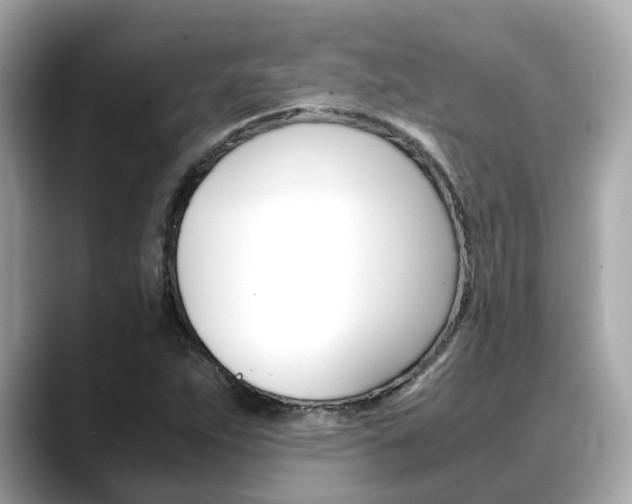 X0000088721263200705311050