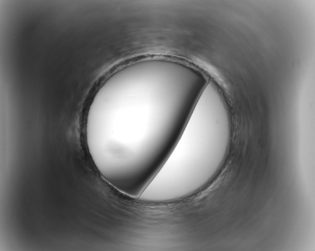 X0000088721264200705311050
