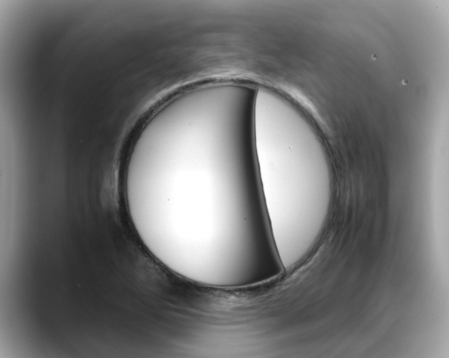 X0000088721270200705311050