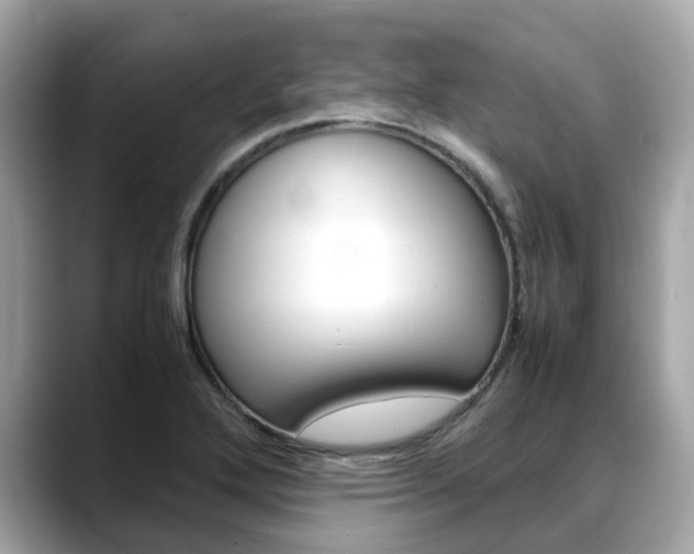X0000088721272200705311050