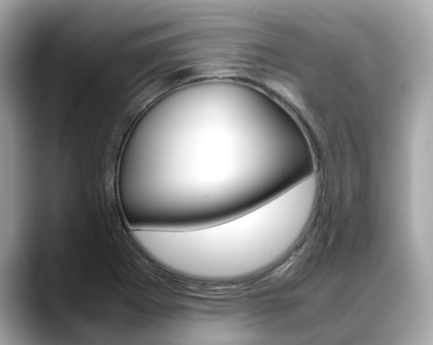 X0000088721273200705311050