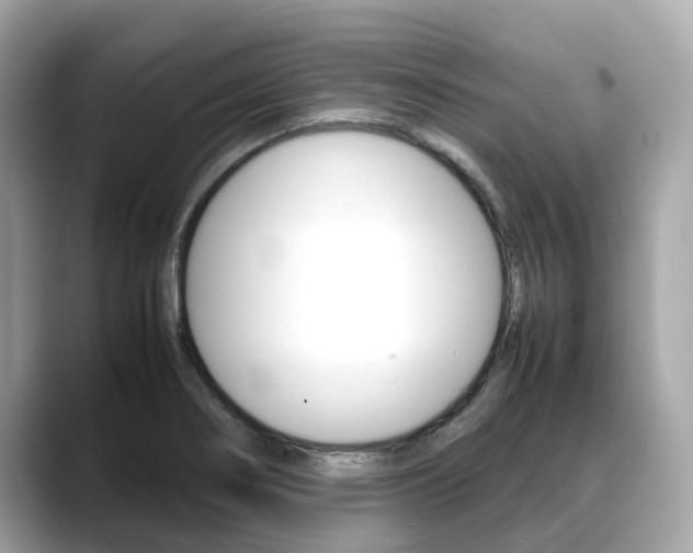X0000088721274200705311050