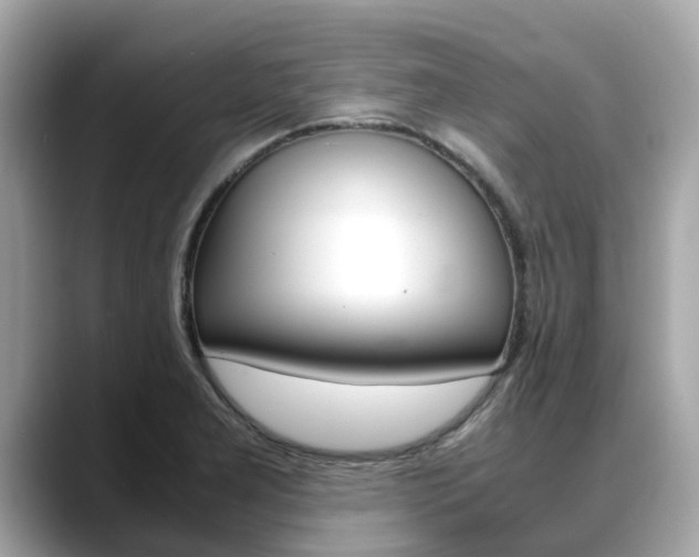X0000088721277200705311050