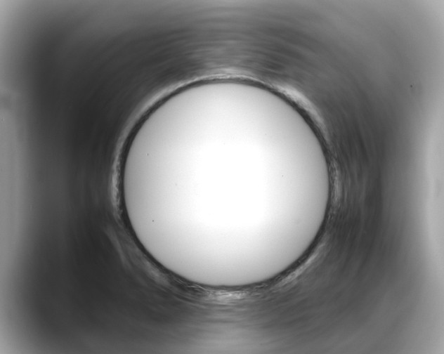 X0000088721278200705311050
