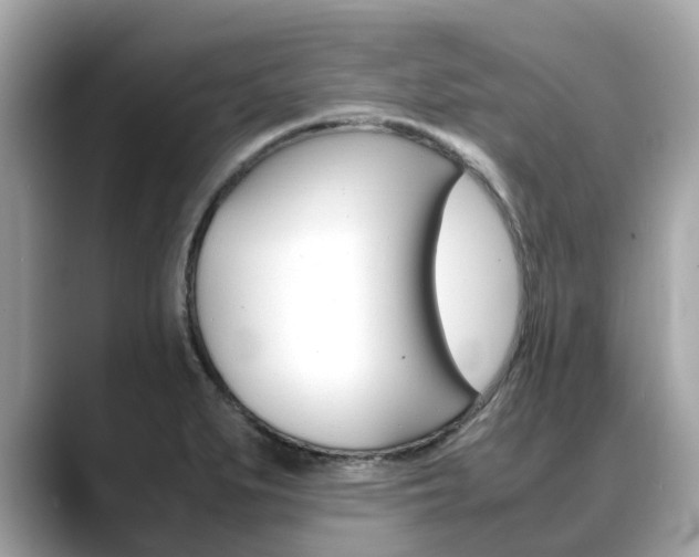 X0000088721279200705311050